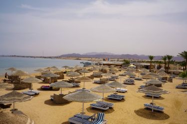 EAGLES PARADISE ABU SOMA